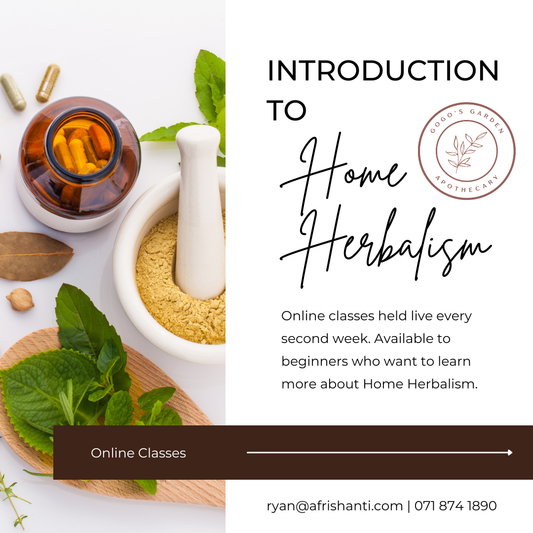 Introduction to Home Herbalism (Online)
